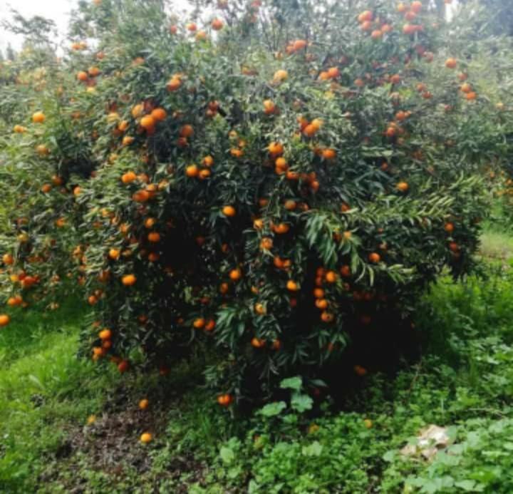 Affittacamere Dar Khedija El Kheriba Esterno foto